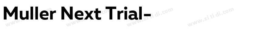 Muller Next Trial字体转换